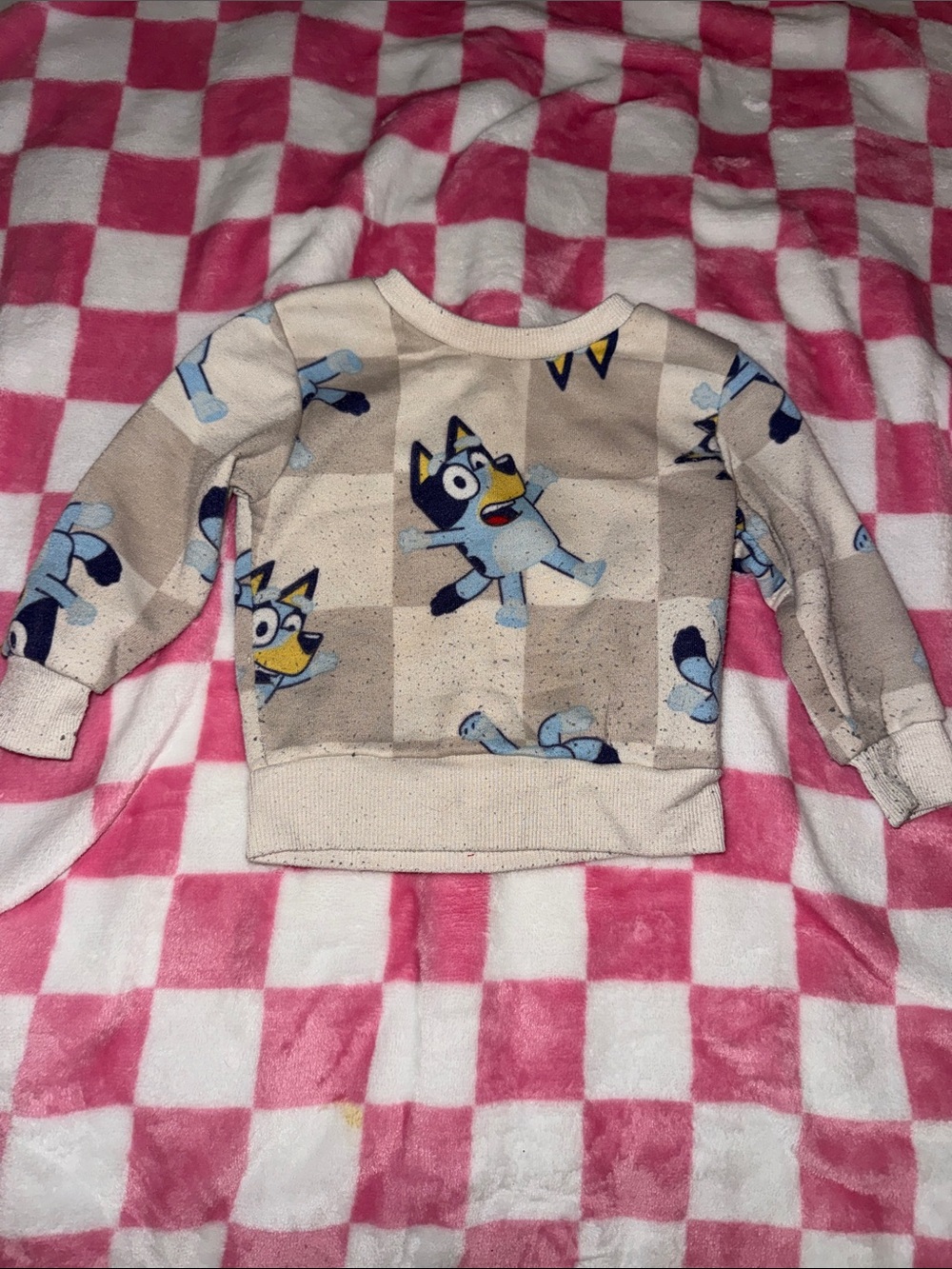 Beige Kids Sweatshirt with Bluey Print